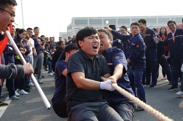 合肥基地比赛现场_副本.jpg